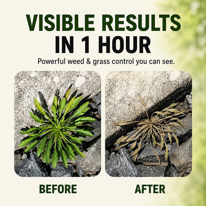 Fast-Acting Natural Weed & Grass Killer Spray