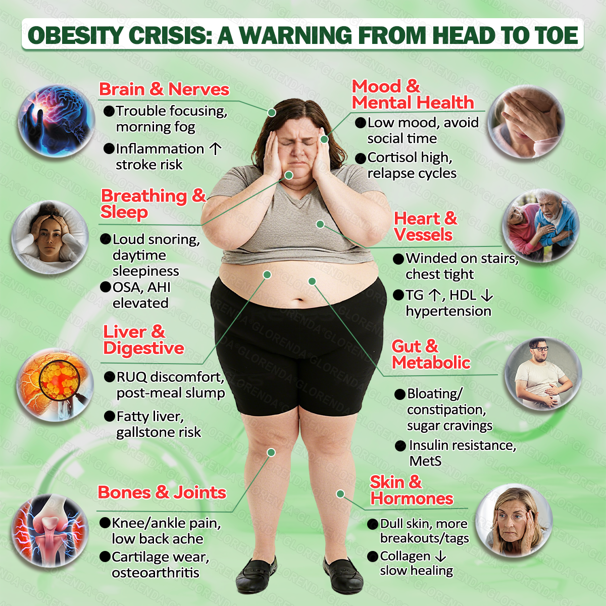 Obesity Crisis Warning