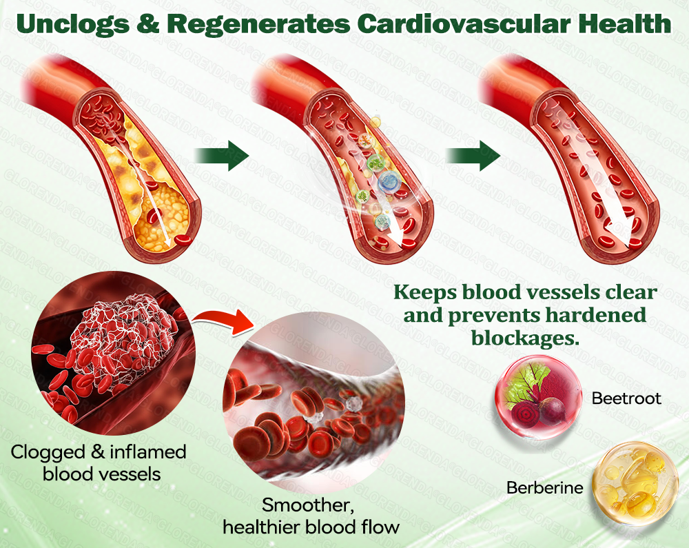 Cardiovascular Health